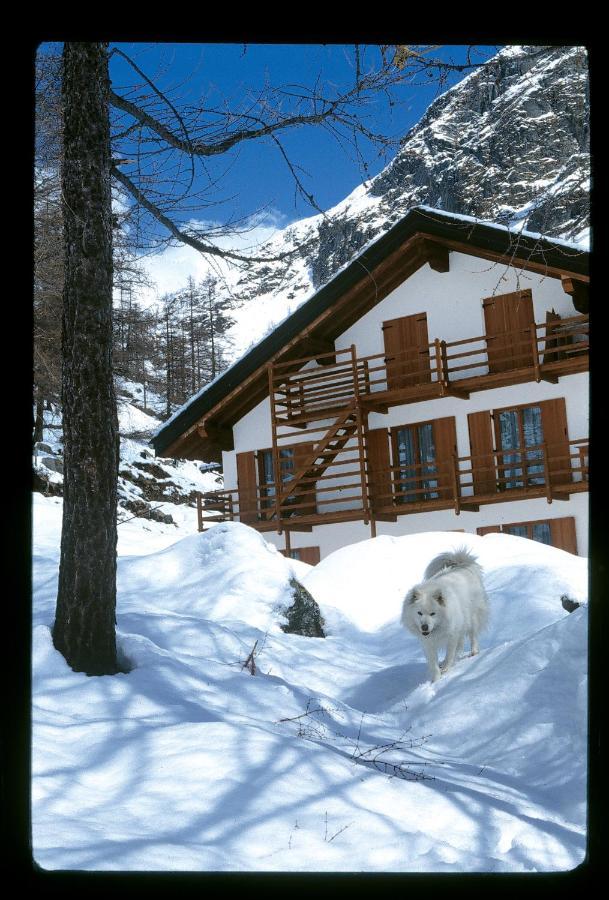 La Trinite Monboso Hotel Грессоне-Ла-Триніте Екстер'єр фото